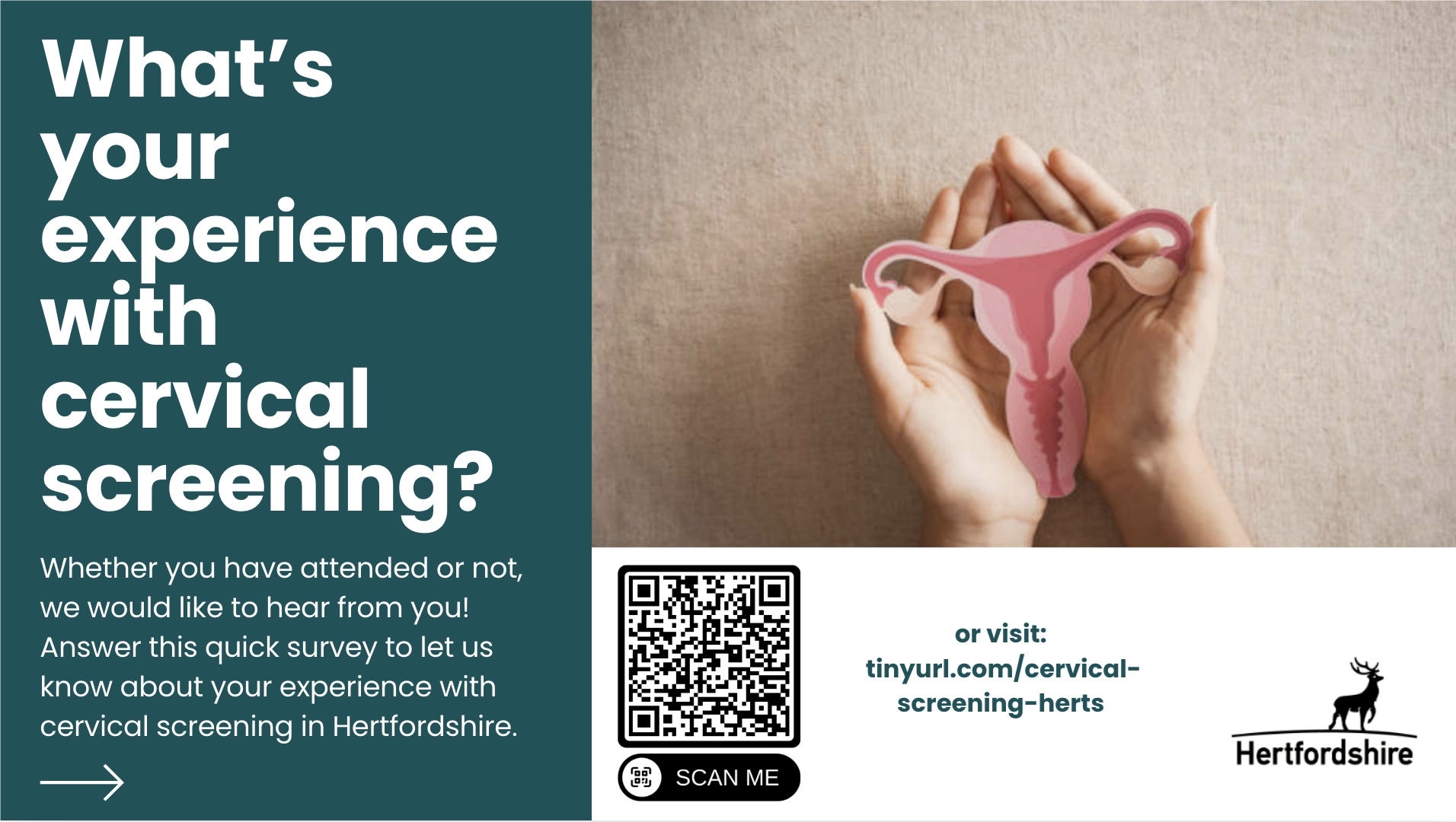 cervical screening survey